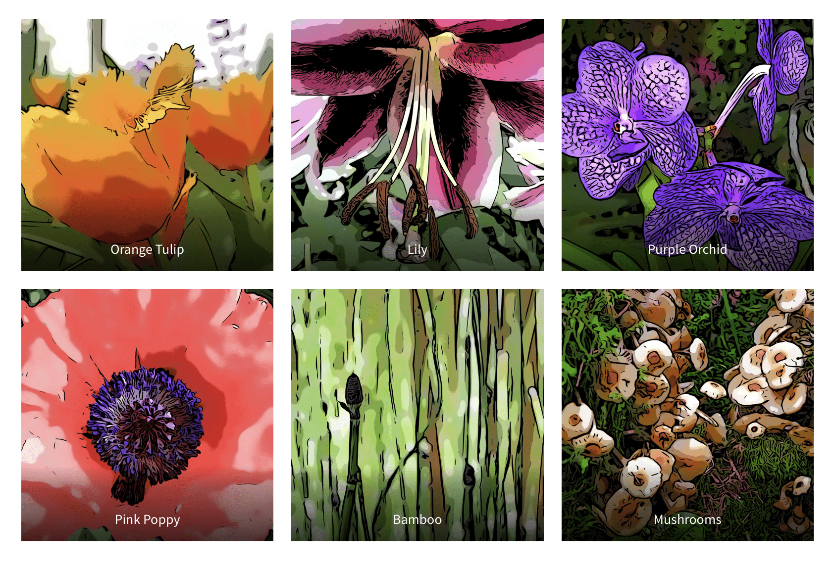 The Floral Set – .